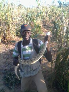 Article : Pyramide de Dan baki : Sur les traces de nos ancêtres